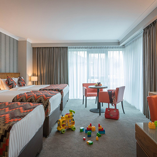 €250 Fitzwilton Hotel Voucher image